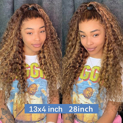 Subella 4/27 Highlight Wig Human Hair Brown Colored HD Transparent Lace Front Wig